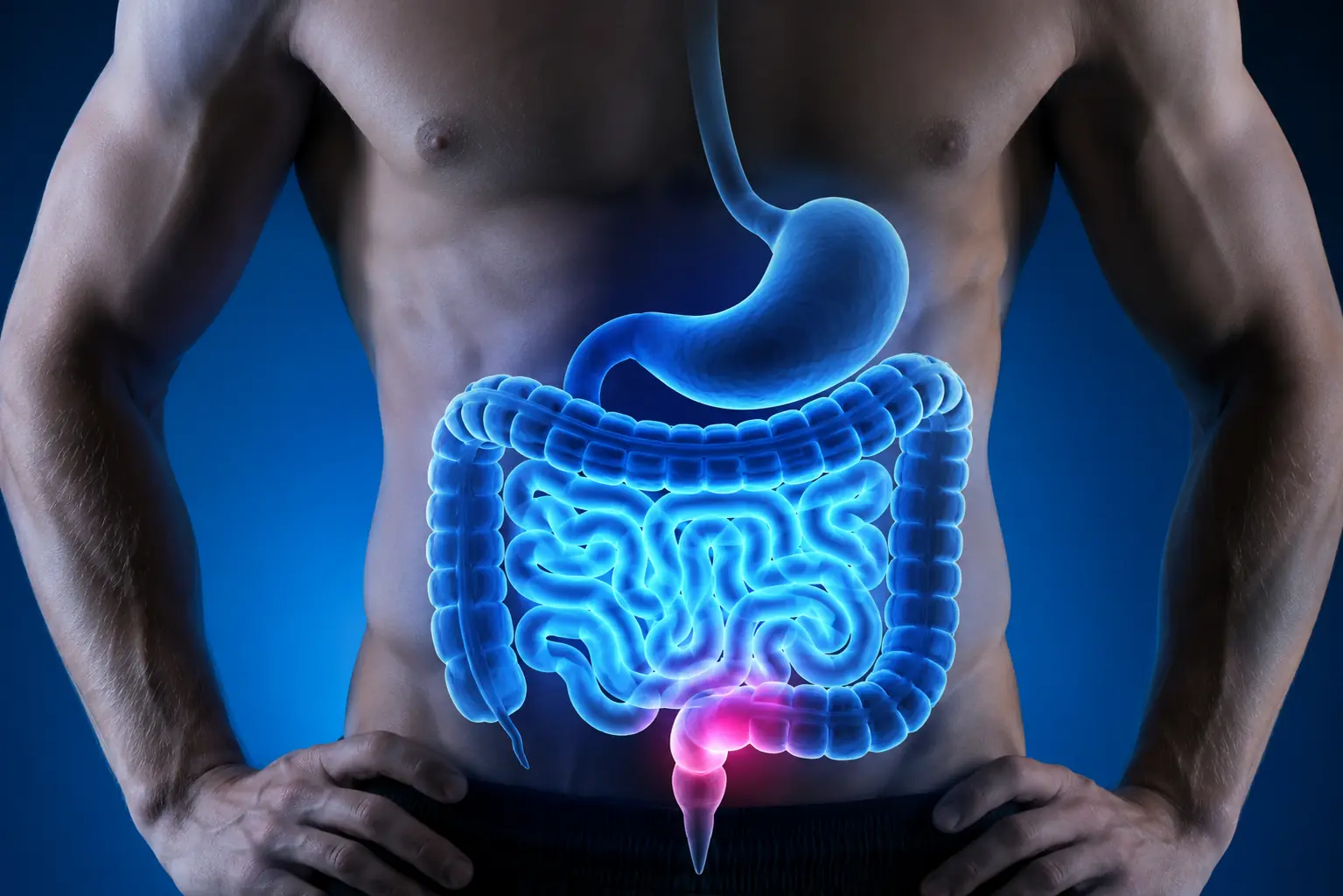 Prostate health support